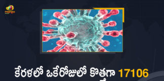 Corona Positive Cases in Kerala , Corona Positive Cases In Kerala , Kerala , Kerala , Kerala Corona, Kerala Corona Cases, Kerala Corona Deaths, Kerala Corona Positive Cases, Kerala Coronavirus, Kerala Coronavirus Positive Cases, Kerala Coronavirus Updates, Kerala COVID 19,mango news