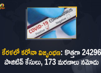 Kerala Covid-19 Updates, 24296 New Positive Cases and 173 Deaths in Last 24 Hours,Corona Positive Cases in Kerala , Corona Positive Cases In Kerala , Kerala , Kerala , Kerala Corona, Kerala Corona Cases, Kerala Corona Deaths, Kerala Corona Positive Cases, Kerala Coronavirus, Kerala Coronavirus Positive Cases, Kerala Coronavirus Updates, Kerala COVID 19,mango news