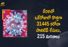 Corona Positive Cases in Kerala , Corona Positive Cases In Kerala , Kerala , Kerala , Kerala Corona, Kerala Corona Cases, Kerala Corona Deaths, Kerala Corona Positive Cases, Kerala Coronavirus, Kerala Coronavirus Positive Cases, Kerala Coronavirus Updates, Kerala COVID 19,mango news