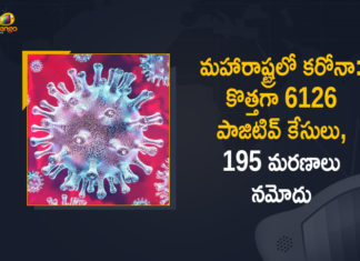 Corona Positive Cases in Maharashtra, Corona Positive Cases In Maharashtra, Maharashtra, Maharashtra , Maharashtra Corona, Maharashtra Corona Cases, Maharashtra Corona Deaths, Maharashtra Corona Positive Cases, Maharashtra Coronavirus, Maharashtra Coronavirus Positive Cases, Maharashtra Coronavirus Updates, Maharashtra COVID 19,mango news