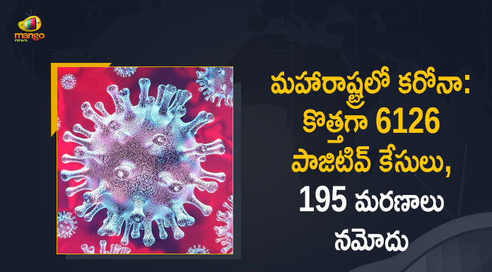 Corona Positive Cases in Maharashtra, Corona Positive Cases In Maharashtra, Maharashtra, Maharashtra , Maharashtra Corona, Maharashtra Corona Cases, Maharashtra Corona Deaths, Maharashtra Corona Positive Cases, Maharashtra Coronavirus, Maharashtra Coronavirus Positive Cases, Maharashtra Coronavirus Updates, Maharashtra COVID 19,mango news