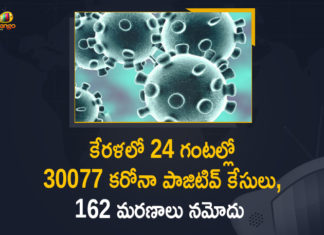 Corona Positive Cases in Kerala , Corona Positive Cases In Kerala , Kerala , Kerala , Kerala Corona, Kerala Corona Cases, Kerala Corona Deaths, Kerala Corona Positive Cases, Kerala Coronavirus, Kerala Coronavirus Positive Cases, Kerala Coronavirus Updates, Kerala COVID 19,mango news