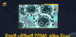 22040 New Positive Cases and 117 Deaths in Last 24 Hours, Kerala Corona, Kerala Corona Cases, Kerala Corona Deaths, Kerala Corona Positive Cases, Kerala Coronavirus, Kerala Coronavirus Cases, Kerala Coronavirus News, Kerala Coronavirus Positive Cases, Kerala Coronavirus Updates, Kerala Covid-19, Kerala Covid-19 Cases, Kerala Covid-19 New Positive Cases, Kerala Covid-19 Updates, Mango News