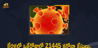 Corona Positive Cases in Kerala , Corona Positive Cases In Kerala , Kerala , Kerala , Kerala Corona, Kerala Corona Cases, Kerala Corona Deaths, Kerala Corona Positive Cases, Kerala Coronavirus, Kerala Coronavirus Positive Cases, Kerala Coronavirus Updates, Kerala COVID 19,mango news