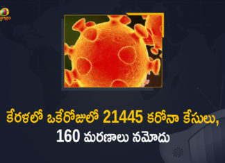 Corona Positive Cases in Kerala , Corona Positive Cases In Kerala , Kerala , Kerala , Kerala Corona, Kerala Corona Cases, Kerala Corona Deaths, Kerala Corona Positive Cases, Kerala Coronavirus, Kerala Coronavirus Positive Cases, Kerala Coronavirus Updates, Kerala COVID 19,mango news