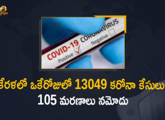 Corona Positive Cases in Kerala , Corona Positive Cases In Kerala , Kerala , Kerala , Kerala Corona, Kerala Corona Cases, Kerala Corona Deaths, Kerala Corona Positive Cases, Kerala Coronavirus, Kerala Coronavirus Positive Cases, Kerala Coronavirus Updates, Kerala COVID 19,mango news
