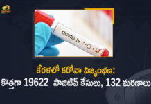 Corona Positive Cases in Kerala , Corona Positive Cases In Kerala , Kerala , Kerala , Kerala Corona, Kerala Corona Cases, Kerala Corona Deaths, Kerala Corona Positive Cases, Kerala Coronavirus, Kerala Coronavirus Positive Cases, Kerala Coronavirus Updates, Kerala COVID 19,mango news