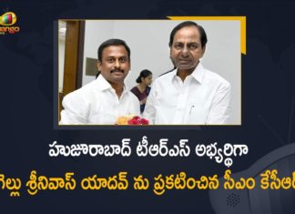 CM KCR Announced Gellu Srinivas Yadav as TRS Candidate For Huzurabad, CM KCR Announced Gellu Srinivas Yadav as TRS Candidate For Huzurabad By-elections, Gellu Srinivas Yadav as TRS Candidate, Gellu Srinivas Yadav as TRS Candidate For Huzurabad By-elections, Huzurabad by poll, Huzurabad By-elections, Huzurabad bypoll 2021, Huzurabad bypolls, KCR Announced Gellu Srinivas Yadav as TRS Candidate, Mango News, TRS Candidate For Huzurabad By Boll, TRS Candidate For Huzurabad By-elections