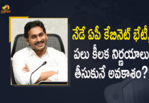 2021 AP Cabinet Meeting, Andhra Pradesh cabinet meeting, AP Cabinet Meet, AP Cabinet Meet news, AP Cabinet Meeting, AP Cabinet Meeting Decision Today, AP Cabinet Meeting Decisions, AP Cabinet Meeting Key Decisions, Ap Cabinet Meeting Latest News, AP Cabinet Meeting Latest Updates, Ap cabinet meeting Live Updates, AP Cabinet Meeting Today, AP Cabinet Meeting will be held Today, AP Cabinet Meeting will be held Today to Discuss Several Key Issues, AP Cabinet to hold meeting today, Mango News