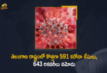Coronavirus, COVID-19, Covid-19 Updates in Telangana, telangana corona district wise cases, telangana coronavirus cases district wise, telangana coronavirus cases today, telangana coronavirus cases today district wise, telangana coronavirus district wise, telangana coronavirus district wise List, Telangana Coronavirus News, telangana covid cases today bulletin, telangana covid cases today list,mango news