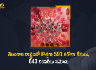 Coronavirus, COVID-19, Covid-19 Updates in Telangana, telangana corona district wise cases, telangana coronavirus cases district wise, telangana coronavirus cases today, telangana coronavirus cases today district wise, telangana coronavirus district wise, telangana coronavirus district wise List, Telangana Coronavirus News, telangana covid cases today bulletin, telangana covid cases today list,mango news