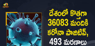 Coronavirus Cases, coronavirus cases in india state wise, coronavirus cases in india today state wise, coronavirus cases india, coronavirus india, India Coronavirus, India Covid-19 Updates, New Confirmed Corona Cases, total corona cases in india today, total corona positive in india,mango news
