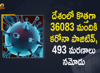 Coronavirus Cases, coronavirus cases in india state wise, coronavirus cases in india today state wise, coronavirus cases india, coronavirus india, India Coronavirus, India Covid-19 Updates, New Confirmed Corona Cases, total corona cases in india today, total corona positive in india,mango news