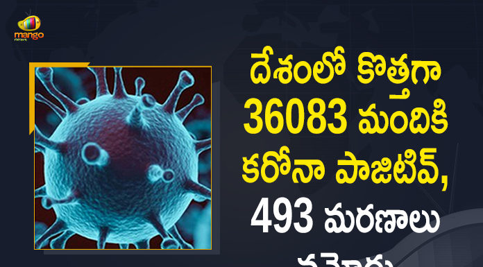 Coronavirus Cases, coronavirus cases in india state wise, coronavirus cases in india today state wise, coronavirus cases india, coronavirus india, India Coronavirus, India Covid-19 Updates, New Confirmed Corona Cases, total corona cases in india today, total corona positive in india,mango news