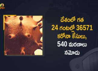 Coronavirus Cases, coronavirus cases in india state wise, coronavirus cases in india today state wise, coronavirus cases india, coronavirus india, India Coronavirus, India Covid-19 Updates, New Confirmed Corona Cases, total corona cases in india today, total corona positive in india,mango news