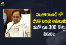 Dalit Bandhu in Huzurabad, Dalit Bandhu in Huzurabad Constituency, Dalit Bandhu scheme, Dalit Bandhu Scheme In Telangana, Dalit Bandhu Scheme News, Dalit enumaration in Huzurabad, KCR plans to extend Dalit Bandhu in Huzurabad, Mango News, PIL plea challenges Dalit Bandhu in Huzurabad, telangana, Telangana Govt Released Another Rs 300 Cr Funds, Telangana Govt Released Another Rs 300 Cr Funds For Dalit Bandhu, Telangana releases Rs 500 cr to Huzurabad Assembly segment