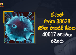Coronavirus Cases, coronavirus cases in india state wise, coronavirus cases in india today state wise, coronavirus cases india, coronavirus india, India Coronavirus, India Covid-19 Updates, New Confirmed Corona Cases, total corona cases in india today, total corona positive in india,mango news