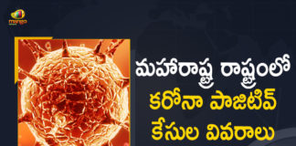 Corona Positive Cases in Maharashtra, Corona Positive Cases In Maharashtra, Maharashtra, Maharashtra , Maharashtra Corona, Maharashtra Corona Cases, Maharashtra Corona Deaths, Maharashtra Corona Positive Cases, Maharashtra Coronavirus, Maharashtra Coronavirus Positive Cases, Maharashtra Coronavirus Updates, Maharashtra COVID 19,mango news