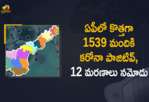 Andhra Pradesh, Andhra Pradesh COVID-19 Daily Bulletin, Andhra Pradesh Department of Health, ap coronavirus cases today, ap coronavirus cases total, ap coronavirus updates district wise, AP COVID 19 Cases, AP Total Positive Cases, COVID-19, COVID-19 Daily Bulletin, Total Corona Cases In AP,mango news