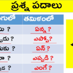 Learn Question Words in Tamil,How to Ask Questions in Tamil?,KVR Institute,question words in tamil,wh questions in tamil,question words in tamil through telugu,tamil through telugu,learn tamil through telugu,tamil wh questions,wh questions tamil meaning,learning tamil through telugu,learn tamil for beginners,tamil online tutorials,leanr tamil online,spoken tamil through telugu,spoken tamil courses,tamil language learning,kvr spoken tamil,kvr spoken english