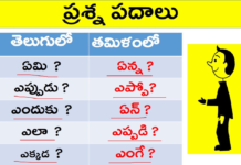 Learn Question Words in Tamil,How to Ask Questions in Tamil?,KVR Institute,question words in tamil,wh questions in tamil,question words in tamil through telugu,tamil through telugu,learn tamil through telugu,tamil wh questions,wh questions tamil meaning,learning tamil through telugu,learn tamil for beginners,tamil online tutorials,leanr tamil online,spoken tamil through telugu,spoken tamil courses,tamil language learning,kvr spoken tamil,kvr spoken english