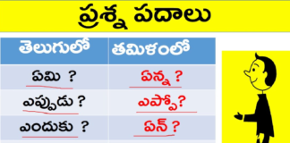 Learn Question Words in Tamil,How to Ask Questions in Tamil?,KVR Institute,question words in tamil,wh questions in tamil,question words in tamil through telugu,tamil through telugu,learn tamil through telugu,tamil wh questions,wh questions tamil meaning,learning tamil through telugu,learn tamil for beginners,tamil online tutorials,leanr tamil online,spoken tamil through telugu,spoken tamil courses,tamil language learning,kvr spoken tamil,kvr spoken english