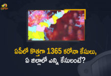 Andhra Pradesh, Andhra Pradesh COVID-19 Daily Bulletin, Andhra Pradesh Department of Health, ap coronavirus cases today, ap coronavirus cases total, ap coronavirus updates district wise, AP COVID 19 Cases, AP Total Positive Cases, COVID-19, COVID-19 Daily Bulletin, Total Corona Cases In AP,mango news
