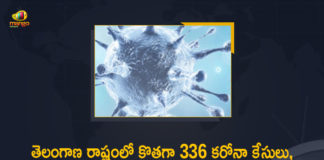 Coronavirus, COVID-19, Covid-19 Updates in Telangana, telangana corona district wise cases, telangana coronavirus cases district wise, telangana coronavirus cases today, telangana coronavirus cases today district wise, telangana coronavirus district wise, telangana coronavirus district wise List, Telangana Coronavirus News, telangana covid cases today bulletin, telangana covid cases today list,mango news
