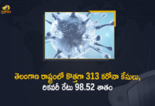 Coronavirus, COVID-19, Covid-19 Updates in Telangana, telangana corona district wise cases, telangana coronavirus cases district wise, telangana coronavirus cases today, telangana coronavirus cases today district wise, telangana coronavirus district wise, telangana coronavirus district wise List, Telangana Coronavirus News, telangana covid cases today bulletin, telangana covid cases today list,mango news