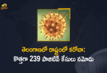 Coronavirus, COVID-19, Covid-19 Updates in Telangana, telangana corona district wise cases, telangana coronavirus cases district wise, telangana coronavirus cases today, telangana coronavirus cases today district wise, telangana coronavirus district wise, telangana coronavirus district wise List, Telangana Coronavirus News, telangana covid cases today bulletin, telangana covid cases today list,mango news