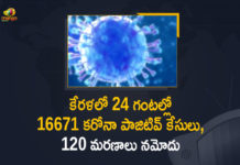 Corona Positive Cases in Kerala , Corona Positive Cases In Kerala , Kerala , Kerala , Kerala Corona, Kerala Corona Cases, Kerala Corona Deaths, Kerala Corona Positive Cases, Kerala Coronavirus, Kerala Coronavirus Positive Cases, Kerala Coronavirus Updates, Kerala COVID 19,mango news