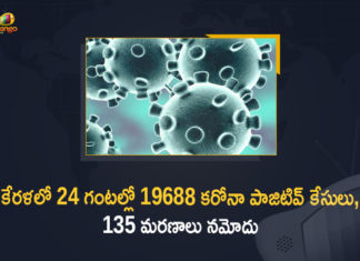 Kerala Corona, Kerala Corona Cases, Kerala Corona Deaths, Kerala Corona Positive Cases, Kerala Corona Positive Cases Update, Kerala Coronavirus, Kerala Coronavirus Cases, Kerala Coronavirus News, Kerala Coronavirus Positive Cases, Kerala Coronavirus Updates, Kerala Covid-19, Kerala Covid-19 Cases, Kerala Covid-19 New Positive Cases, Kerala Covid-19 Updates, Kerala State Corona Positive Cases Update, Kerala State Corona Positive Cases Update on September 5th, Mango News﻿