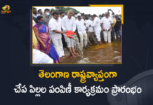 Fish Seed Distribution, Fish Seed Distribution Programme, Fish Seed Distribution Programme In Telangana, Fish Seed Stocking Program, Harish Rao, Mango News, Minister Talasani Srinivas, Ministers Talasani Harish Rao Launched State Level Fish Seed Stocking Program, State Level Fish Seed Stocking Program, Talasani Launched State Level Fish Seed Stocking Program, Telangana Fish Seed Distribution Programme