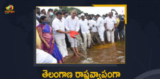 Fish Seed Distribution, Fish Seed Distribution Programme, Fish Seed Distribution Programme In Telangana, Fish Seed Stocking Program, Harish Rao, Mango News, Minister Talasani Srinivas, Ministers Talasani Harish Rao Launched State Level Fish Seed Stocking Program, State Level Fish Seed Stocking Program, Talasani Launched State Level Fish Seed Stocking Program, Telangana Fish Seed Distribution Programme