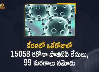 Corona Positive Cases in Kerala , Corona Positive Cases In Kerala , Kerala , Kerala , Kerala Corona, Kerala Corona Cases, Kerala Corona Deaths, Kerala Corona Positive Cases, Kerala Coronavirus, Kerala Coronavirus Positive Cases, Kerala Coronavirus Updates, Kerala COVID 19,mango news