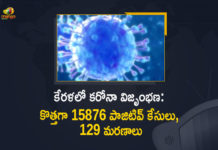 Corona Positive Cases in Kerala , Corona Positive Cases In Kerala , Kerala , Kerala , Kerala Corona, Kerala Corona Cases, Kerala Corona Deaths, Kerala Corona Positive Cases, Kerala Coronavirus, Kerala Coronavirus Positive Cases, Kerala Coronavirus Updates, Kerala COVID 19,mango news