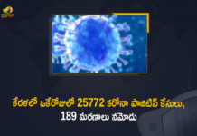 Kerala Corona, Kerala Corona Cases, Kerala Corona Deaths, Kerala Corona Positive Cases, Kerala Corona Positive Cases Update, Kerala Coronavirus, Kerala Coronavirus Cases, Kerala Coronavirus News, Kerala Coronavirus Positive Cases, Kerala Coronavirus Updates, Kerala Covid-19, Kerala Covid-19 Cases, Kerala Covid-19 New Positive Cases, Kerala Covid-19 Updates, Kerala State Corona Positive Cases Update, Kerala State Corona Positive Cases Update on September 5th, Mango News