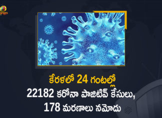 Corona Positive Cases in Kerala , Corona Positive Cases In Kerala , Kerala , Kerala , Kerala Corona, Kerala Corona Cases, Kerala Corona Deaths, Kerala Corona Positive Cases, Kerala Coronavirus, Kerala Coronavirus Positive Cases, Kerala Coronavirus Updates, Kerala COVID 19,mango news