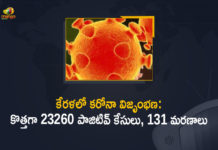 Corona Positive Cases in Kerala , Corona Positive Cases In Kerala , Kerala , Kerala , Kerala Corona, Kerala Corona Cases, Kerala Corona Deaths, Kerala Corona Positive Cases, Kerala Coronavirus, Kerala Coronavirus Positive Cases, Kerala Coronavirus Updates, Kerala COVID 19,mango news