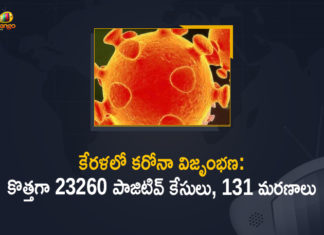 Corona Positive Cases in Kerala , Corona Positive Cases In Kerala , Kerala , Kerala , Kerala Corona, Kerala Corona Cases, Kerala Corona Deaths, Kerala Corona Positive Cases, Kerala Coronavirus, Kerala Coronavirus Positive Cases, Kerala Coronavirus Updates, Kerala COVID 19,mango news