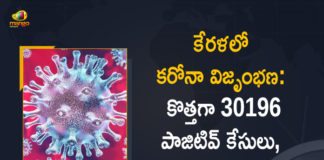 Corona Positive Cases in Kerala , Corona Positive Cases In Kerala , Kerala , Kerala , Kerala Corona, Kerala Corona Cases, Kerala Corona Deaths, Kerala Corona Positive Cases, Kerala Coronavirus, Kerala Coronavirus Positive Cases, Kerala Coronavirus Updates, Kerala COVID 19,mango news