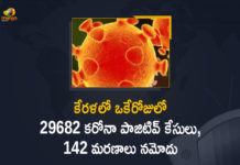 Kerala Corona, Kerala Corona Cases, Kerala Corona Deaths, Kerala Corona Positive Cases, Kerala Corona Positive Cases Update, Kerala Coronavirus, Kerala Coronavirus Cases, Kerala Coronavirus News, Kerala Coronavirus Positive Cases, Kerala Coronavirus Updates, Kerala Covid-19, Kerala Covid-19 Cases, Kerala Covid-19 New Positive Cases, Kerala Covid-19 Updates, Kerala State Corona Positive Cases Update, Kerala State Corona Positive Cases Update on September 5th, Mango News