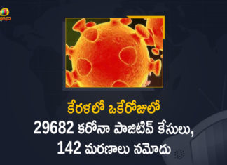 Kerala Corona, Kerala Corona Cases, Kerala Corona Deaths, Kerala Corona Positive Cases, Kerala Corona Positive Cases Update, Kerala Coronavirus, Kerala Coronavirus Cases, Kerala Coronavirus News, Kerala Coronavirus Positive Cases, Kerala Coronavirus Updates, Kerala Covid-19, Kerala Covid-19 Cases, Kerala Covid-19 New Positive Cases, Kerala Covid-19 Updates, Kerala State Corona Positive Cases Update, Kerala State Corona Positive Cases Update on September 5th, Mango News
