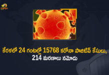 Corona Positive Cases in Kerala , Corona Positive Cases In Kerala , Kerala , Kerala , Kerala Corona, Kerala Corona Cases, Kerala Corona Deaths, Kerala Corona Positive Cases, Kerala Coronavirus, Kerala Coronavirus Positive Cases, Kerala Coronavirus Updates, Kerala COVID 19,mango news