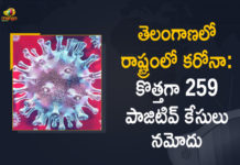 Coronavirus, COVID-19, Covid-19 Updates in Telangana, telangana corona district wise cases, telangana coronavirus cases district wise, telangana coronavirus cases today, telangana coronavirus cases today district wise, telangana coronavirus district wise, telangana coronavirus district wise List, Telangana Coronavirus News, telangana covid cases today bulletin, telangana covid cases today list,mango news