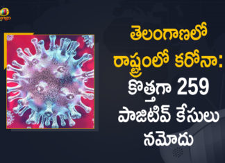 Coronavirus, COVID-19, Covid-19 Updates in Telangana, telangana corona district wise cases, telangana coronavirus cases district wise, telangana coronavirus cases today, telangana coronavirus cases today district wise, telangana coronavirus district wise, telangana coronavirus district wise List, Telangana Coronavirus News, telangana covid cases today bulletin, telangana covid cases today list,mango news