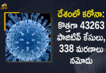 Coronavirus Cases, coronavirus cases in india state wise, coronavirus cases in india today state wise, coronavirus cases india, coronavirus india, India Coronavirus, India Covid-19 Updates, New Confirmed Corona Cases, total corona cases in india today, total corona positive in india,mango news