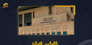 Andhra Pradesh HC, AP High Court, AP High Court Gives Green Signal for ZPTC and MPTC Elections Counting, AP MPTC ZPTC Election Results, AP MPTC ZPTC Election Results 2021, Green Signal for ZPTC and MPTC Elections Counting, High Court gives green signal to ZPTC MPTC counting in AP, Mango News, ZPTC and MPTC elections, ZPTC and MPTC Elections Counting, ZPTC MPTC Counting, ZPTC MPTC polls