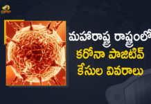 Corona Positive Cases in Maharashtra, Corona Positive Cases In Maharashtra, Maharashtra, Maharashtra , Maharashtra Corona, Maharashtra Corona Cases, Maharashtra Corona Deaths, Maharashtra Corona Positive Cases, Maharashtra Coronavirus, Maharashtra Coronavirus Positive Cases, Maharashtra Coronavirus Updates, Maharashtra COVID 19,mango news