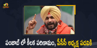 Mango News, Navjot Singh Sidhu, navjot singh sidhu news latest, Navjot Singh Sidhu Resigns, Navjot Singh Sidhu resigns as Punjab Congress chief, Navjot Singh Sidhu Resigns as Punjab PCC President, Navjot Singh Sidhu resigns as state Congress chief, Navjot Singh Sidhu resigns from Punjab PCC president, Punjab Congress chief, Punjab PCC President